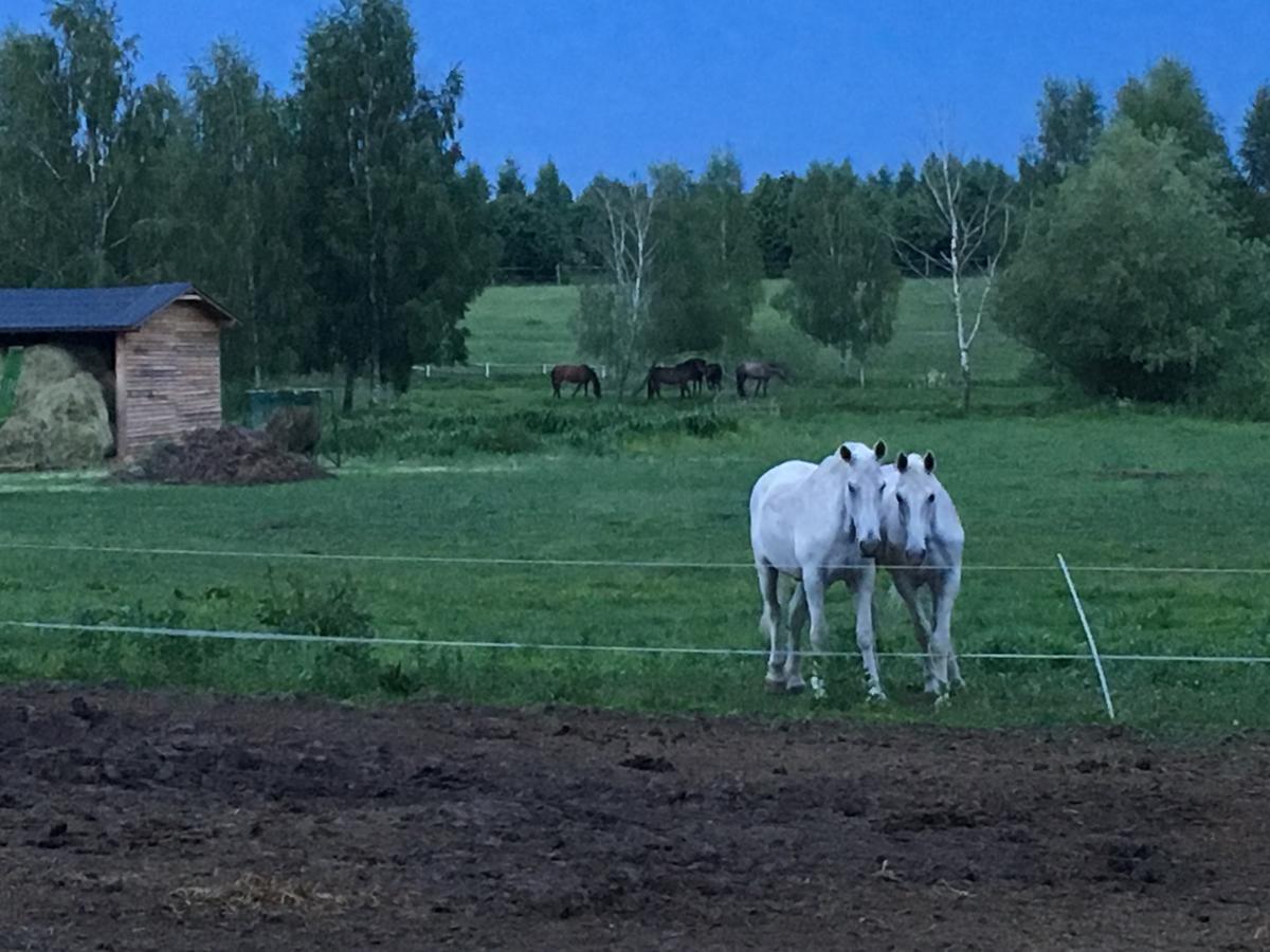 Stajnia Sarnowek Nad Jeziorem Rozany Rozajny Wielkie Экстерьер фото