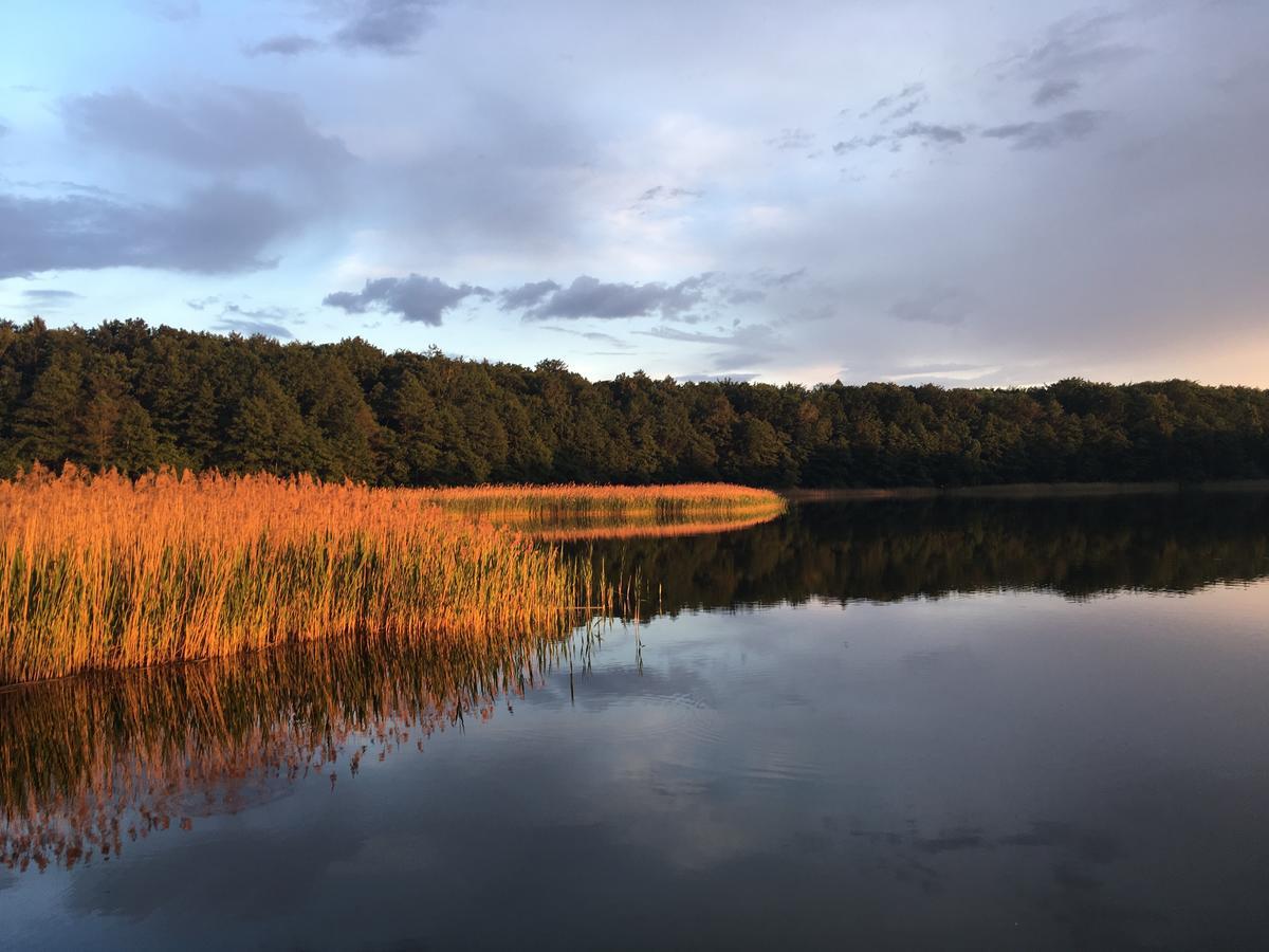 Stajnia Sarnowek Nad Jeziorem Rozany Rozajny Wielkie Экстерьер фото